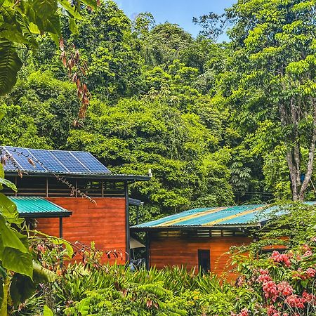 אפרטהוטל קאוויטה Selva Madre Eco-Sanctuary מראה חיצוני תמונה