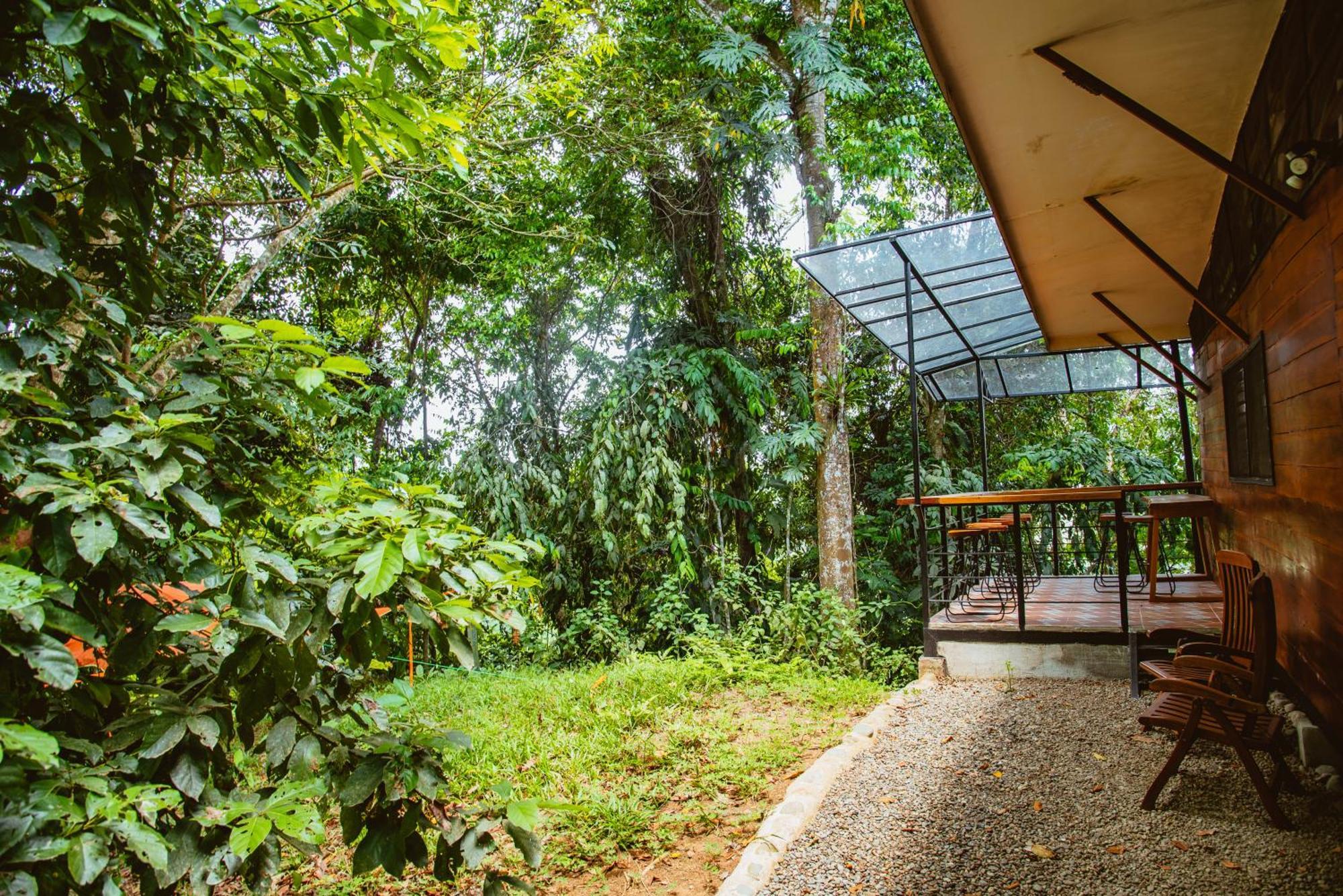 אפרטהוטל קאוויטה Selva Madre Eco-Sanctuary מראה חיצוני תמונה