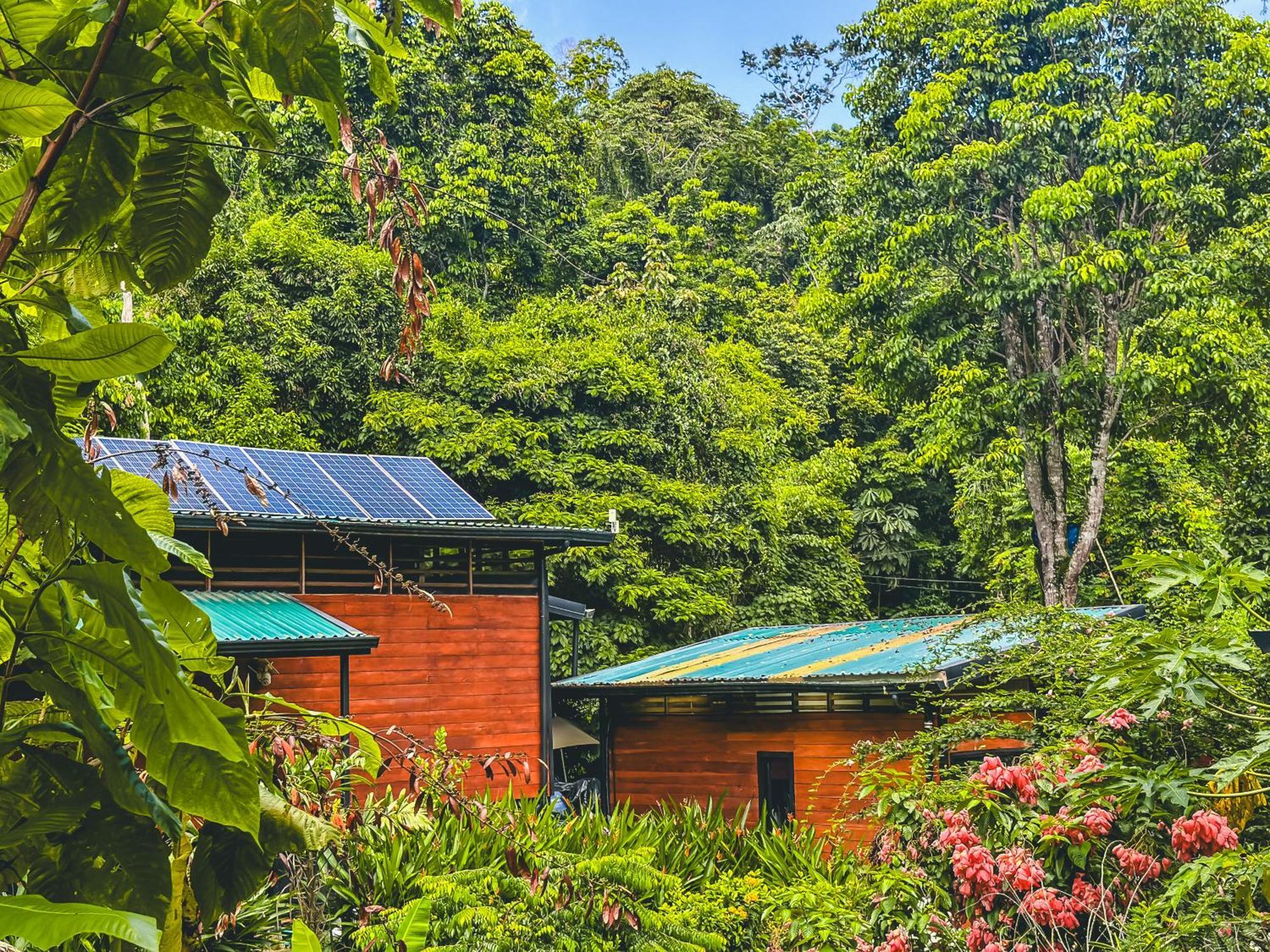 אפרטהוטל קאוויטה Selva Madre Eco-Sanctuary מראה חיצוני תמונה