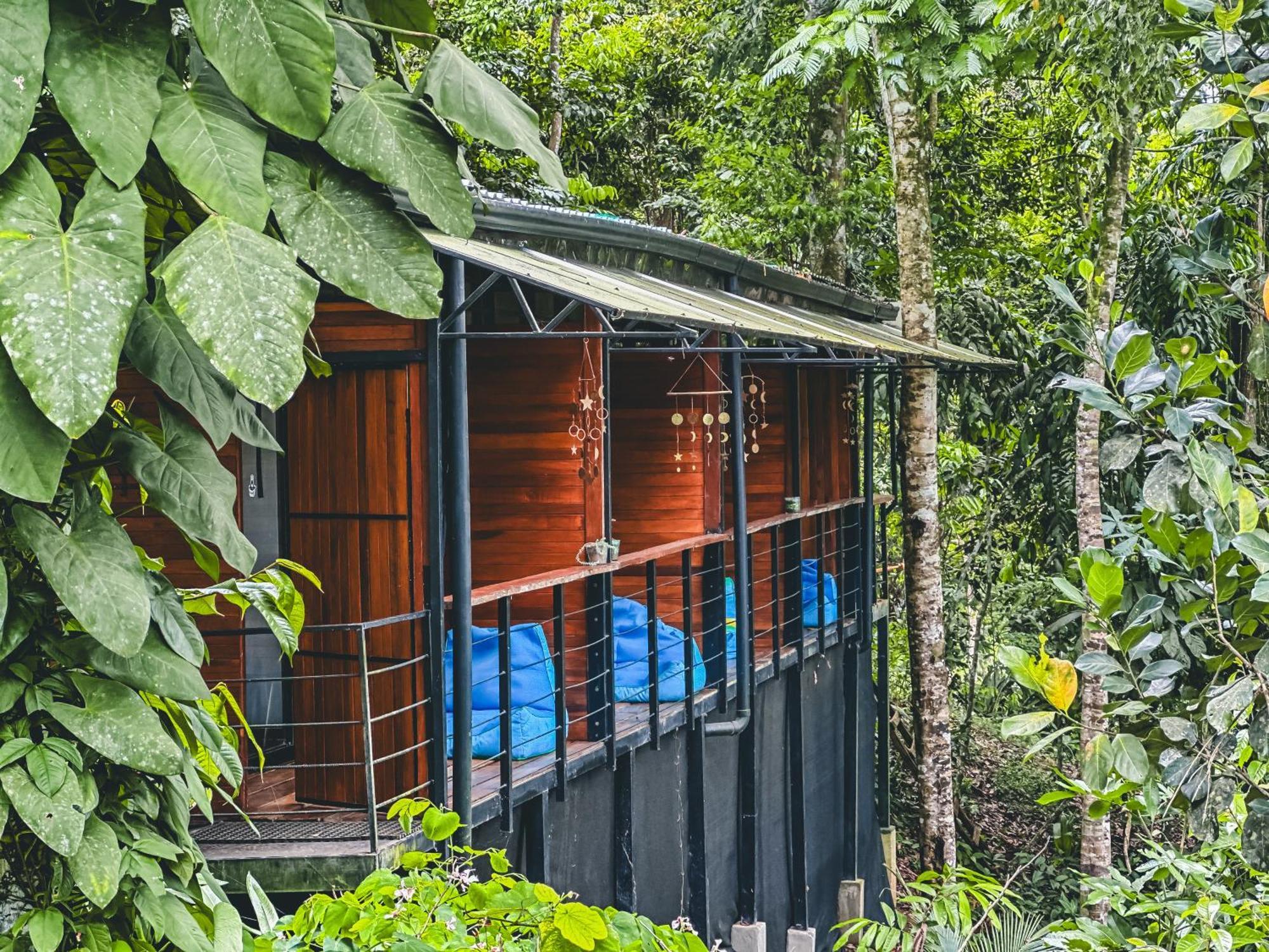 אפרטהוטל קאוויטה Selva Madre Eco-Sanctuary מראה חיצוני תמונה